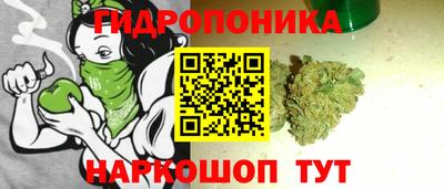 тгк Кулебаки
