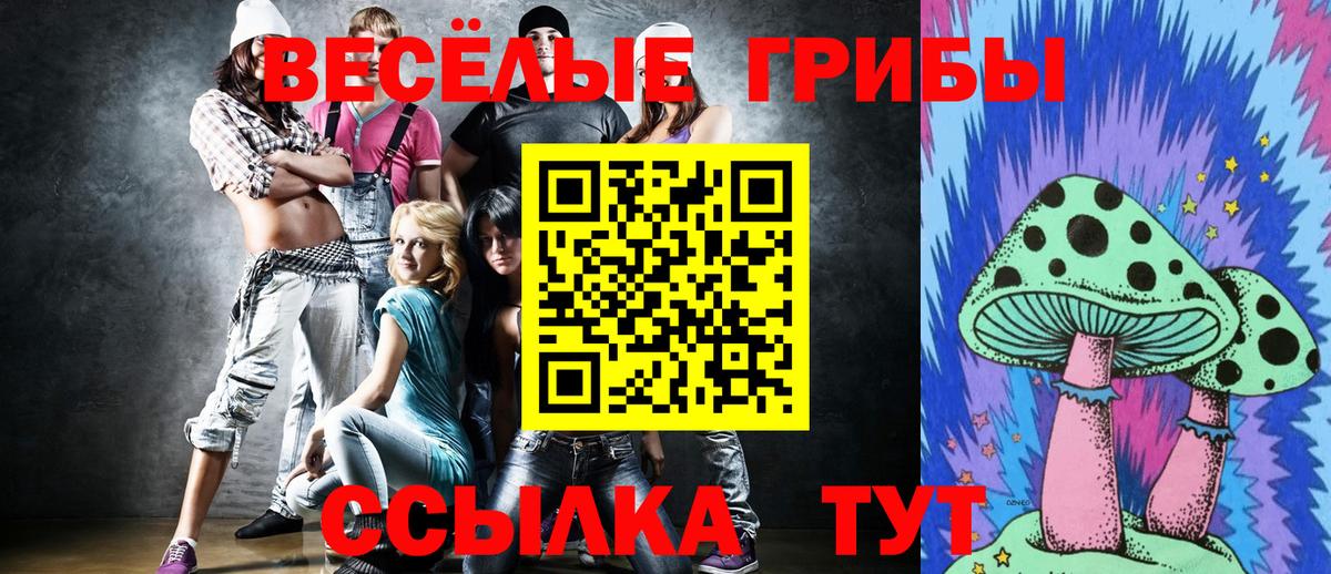 Узловая  Псилоцибиновые грибы GOLDEN TEACHER  закладка  Вход с VPN  Псилоцибиновые грибы Cubensis 